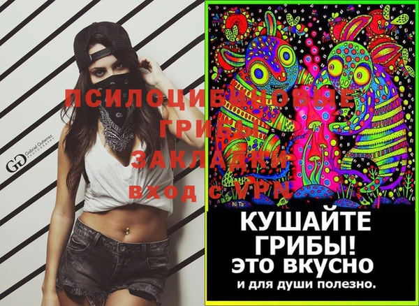прущие крисы Дмитровск