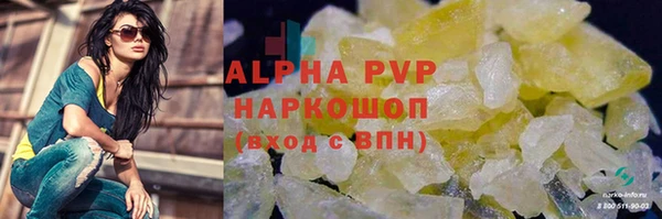 скорость Ельня
