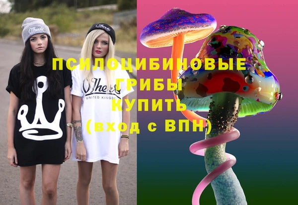 дживик Елабуга