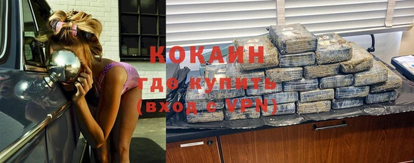 скорость Ельня