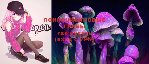 прущие крисы Дмитровск