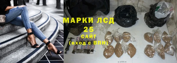 дживик Елабуга